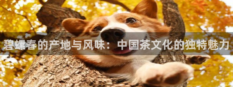 彩名堂计划官方客服
