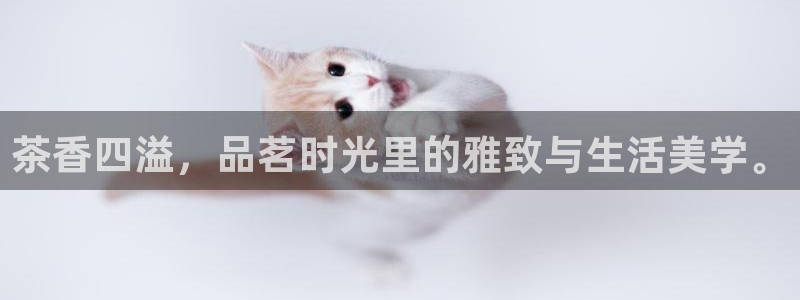 彩名堂客户