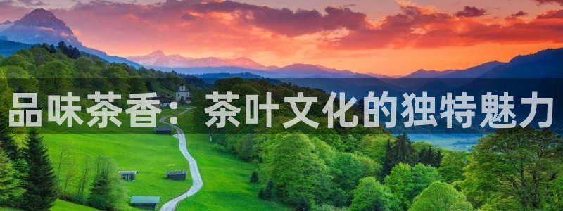 下载苹果手机版彩名堂