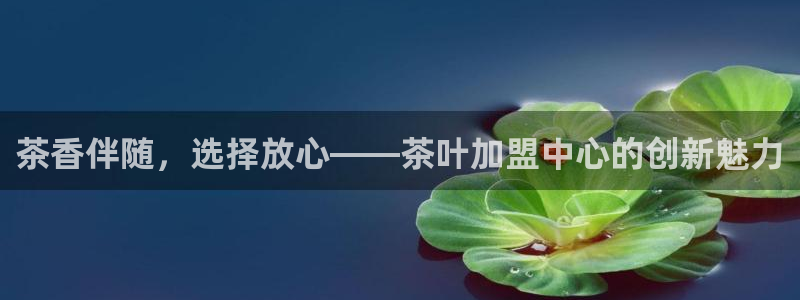 彩名堂官网在线计划怎么不更新了