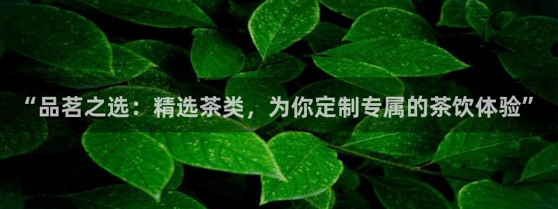 下载彩名堂预测计划软件