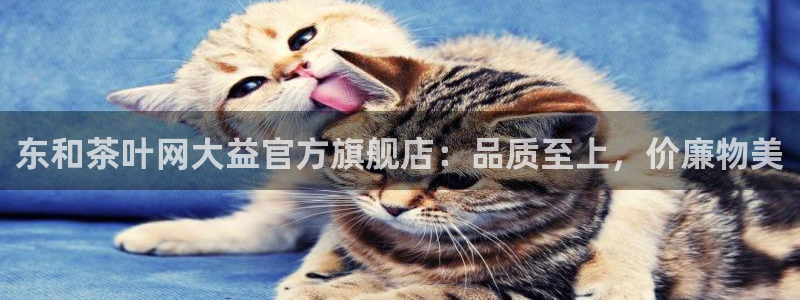 彩名堂app彩名堂客户端