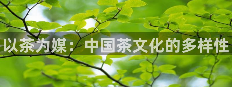 彩名堂免费计划使用方法是什么