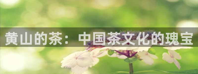 彩名堂官网