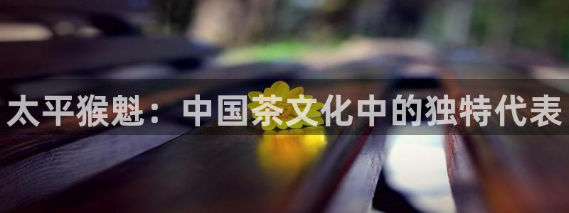 彩名堂计划官方客服