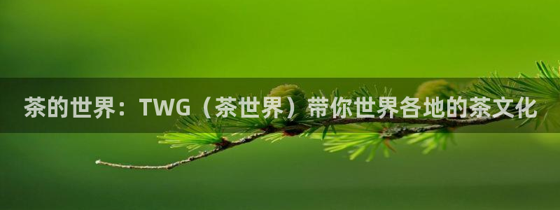 正规彩名堂官网计划