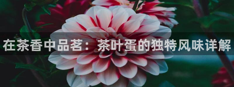 谁知道彩名堂网站是多少