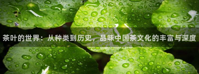 彩名堂免费计划官网购彩计划