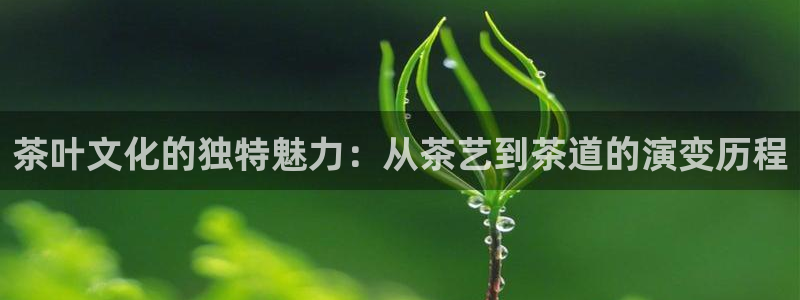 为什么彩名堂今天不能用