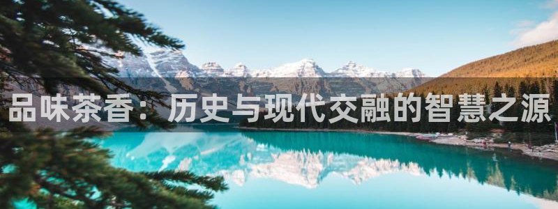 彩名堂怎么买准确率高一点