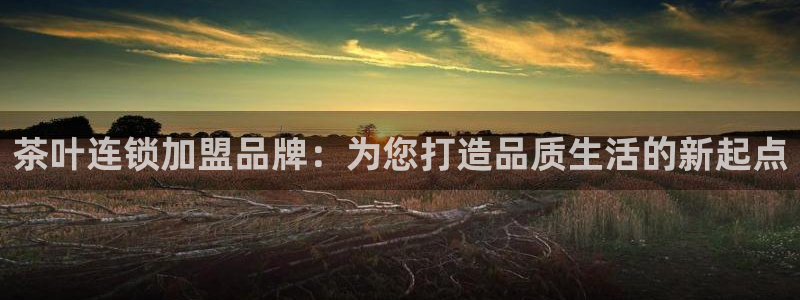 彩名堂首页