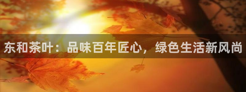 彩名堂用不了