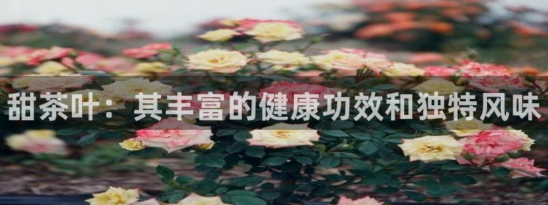 彩名堂app官方网