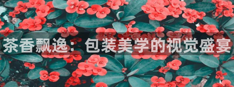 彩名堂01计划