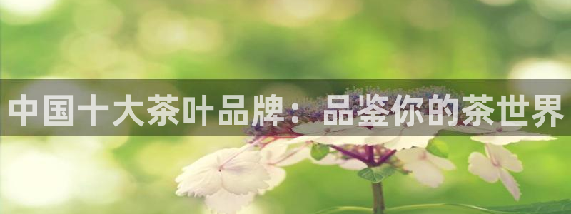 彩名堂手机客户端怎么进不去了
