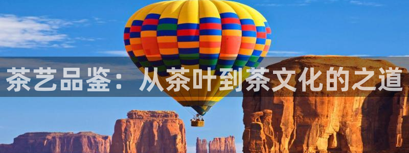 彩名堂官方软件下载