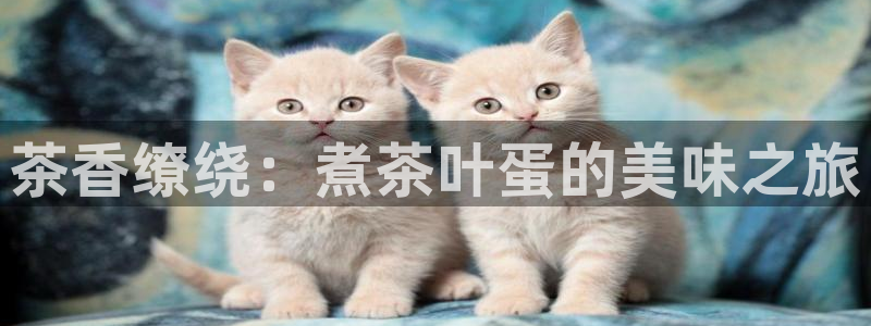 彩名堂客服电话号码