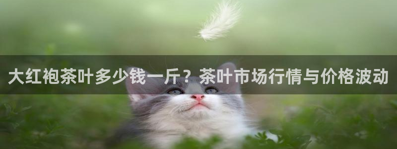 彩名堂改成什么名字了