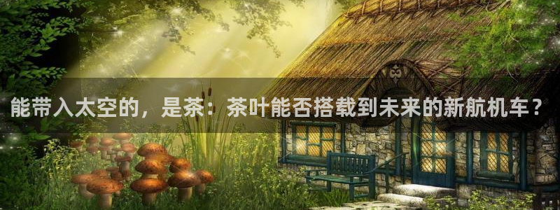 彩名堂怎么选稳定计划产品