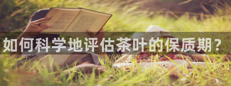 彩名堂怎么样