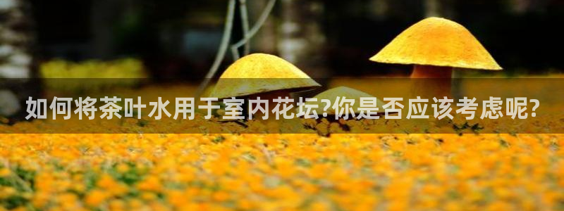 彩名堂手机客户端怎么下载