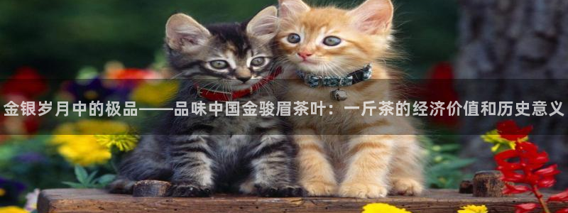 彩名堂苹果客户端