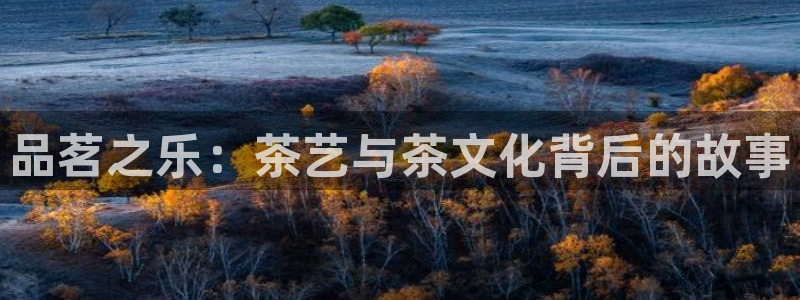 彩名堂预测免费计划怎么看的