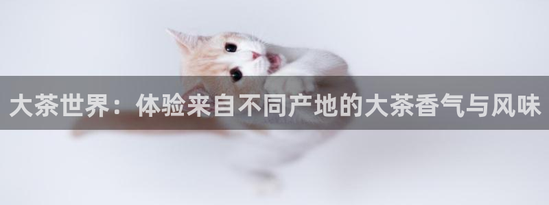 彩名堂计划怎么打不开了