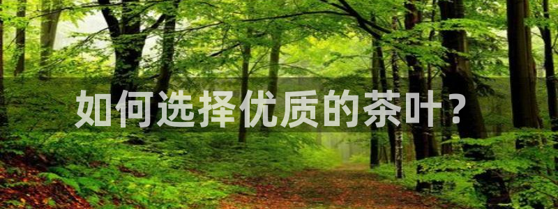 彩名堂一直不出结果怎么回事