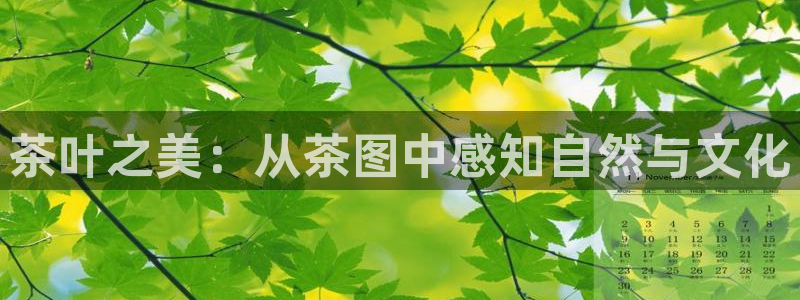 彩名堂拼音怎么拼