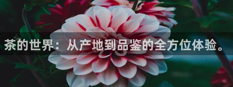 彩名堂客户端是永久免费吗安全吗是真的吗