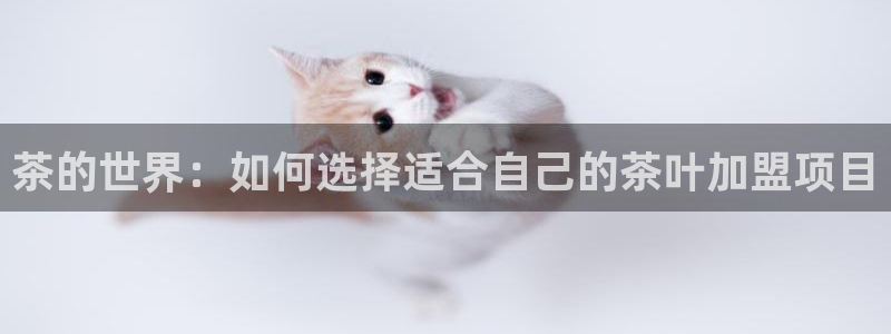 彩名堂预测计划软件
