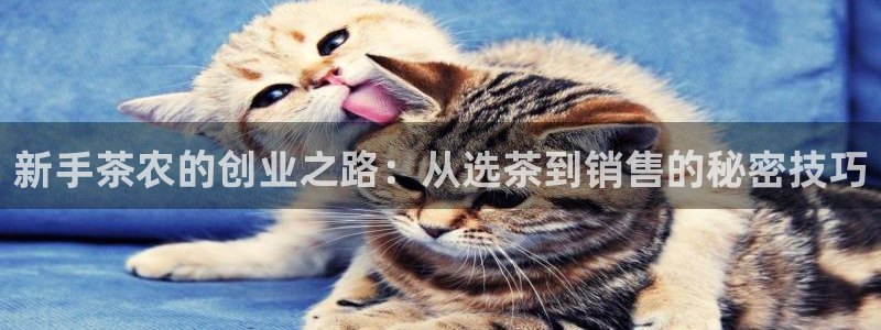 彩名堂计划最新版手机版