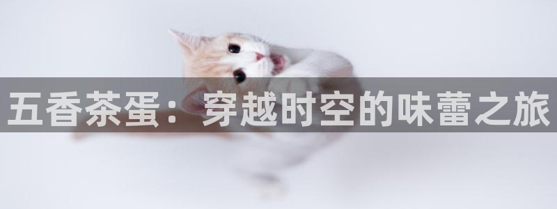 彩名堂手机客户端