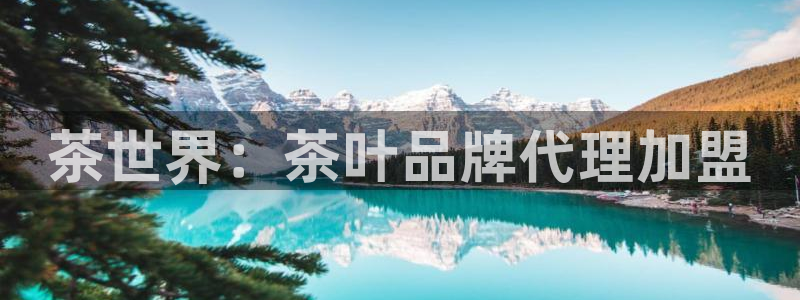 彩名堂为什么突然不能用了