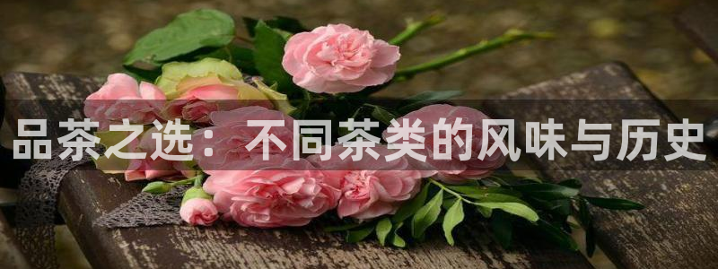 彩名堂最新计划下载地址