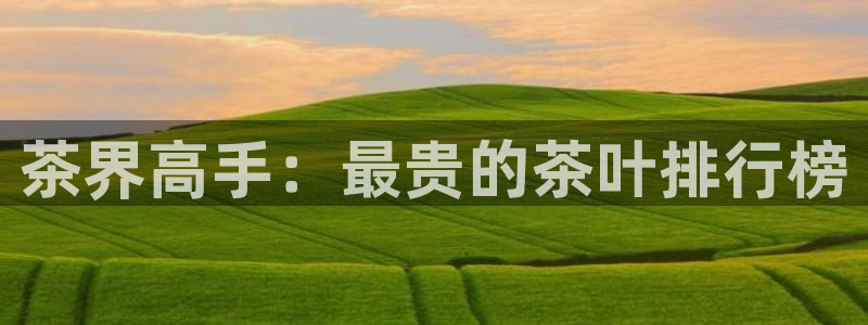 彩名堂下载官网