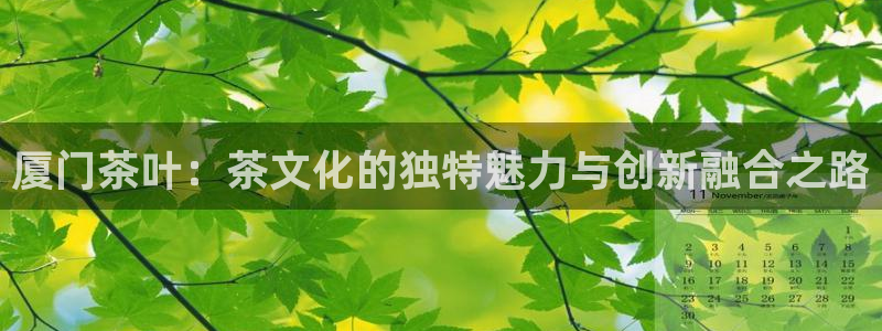 彩名堂怎么选稳定计划