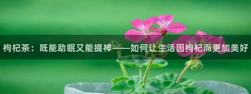下载彩名堂预测计划软件