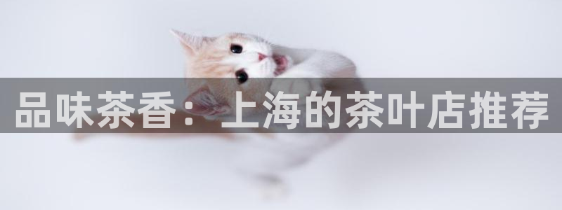 彩名堂5.0!