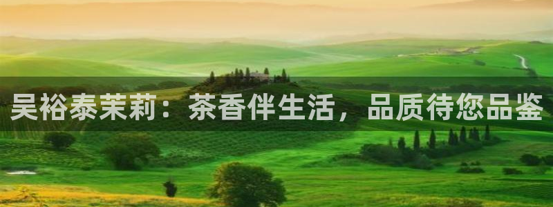 正规彩名堂官网计划