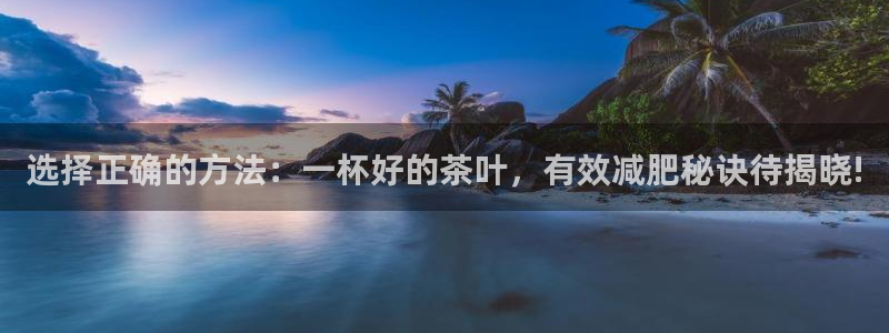彩名堂免费计划亮点